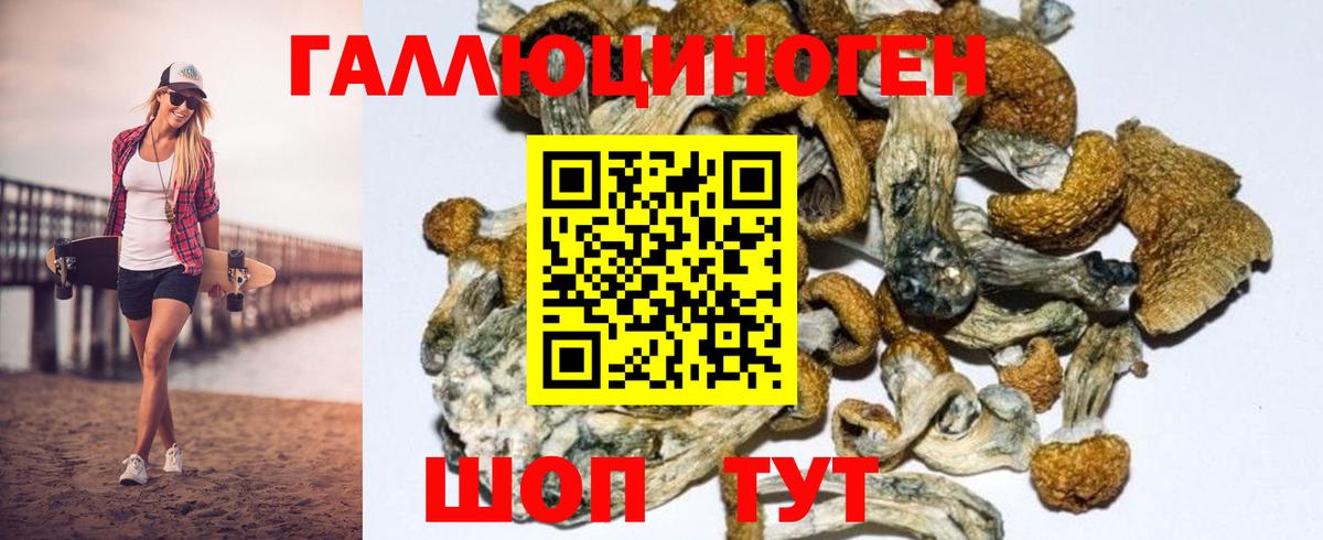 Галлюциногенные грибы GOLDEN TEACHER  Вход с VPN  Учалы 
